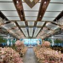 청량리26 | 💍청량리 L65 호텔컨벤션 웨딩홀 상담 후기 + 26년도 견적공유 💌