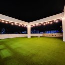 카르펫디엠 강아지유치원 이미지