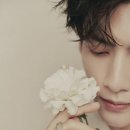 광고매니아