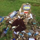 부엔까미노 이미지