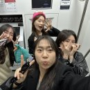 의령 세간리 은행나무 이미지