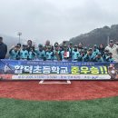 합덕초등학교 이미지