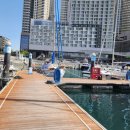 아그리나 B 이미지