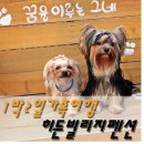 무창포 히든빌리지 이미지