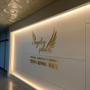 삼송플라잉요가 삼송번지피지오 엔젤러스필라테스 번지피지오&플라잉요가 원흥점 체험후기