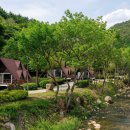 "도착하는 순간 피로가 풀렸다"... 해발 800m자락에 조성된 자연휴양림 여행지