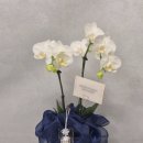 예단 | 예단 전달 후기 / 예단 드리는 법 / 현금예단/ 애교예단