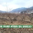 중현농장 네이버블로그