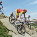 Antonio`s Farm 이미지