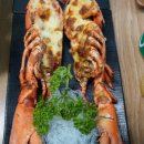 대성수족관 이미지