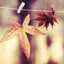 (주)이좋은세상 이미지