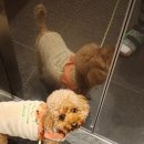 방댕살롱 이미지