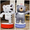 [대관공연]2018평창동계올림픽 성공기원    강원도립예술단 순회공연 <겨울판타지> | 2018평창동계올림픽 성공기원 [겨울판타지]를 보고^^
