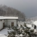 금리마을펜션 이미지