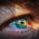 대구현대메디칼 이미지