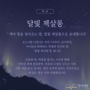 동천초등학교 | [동천초등학교 독서 국어 학원] 달빛 아래, 책이 말을 걸어오는 밤