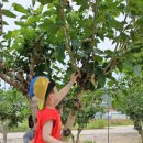 아리랑농장 이미지