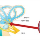 더웰병원 이미지