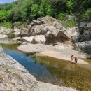 왕피천힐링팜 이미지