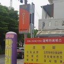 대박카써비스 이미지