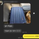 [후기]파란만장 출장 후기 4편, 유럽과 아시아가 만나는 곳 이스탄불(튀르키예 이스탄불)