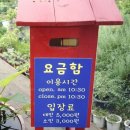 풀잎시스템 이미지