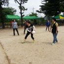 양덕초교 이미지