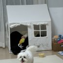 현주네과일집