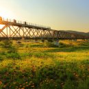 김해낙동강레일파크 이미지