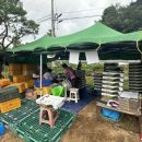 순흥농원 이미지