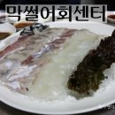 막썰어회 이미지