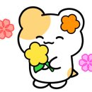 성북-돈암-2550 이미지