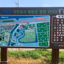 곡성-246 이미지