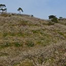 대화농장 이미지