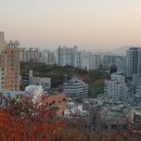 금호동사무소 이미지