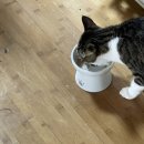 달래내로 이미지