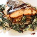 쉐프마일리오스트리아 이미지