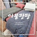 대구효동초등학교 | 대구이불저렴한곳 공장직영 운영 이불팡팡 대구점