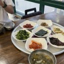 울릉회센타