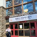 만도카플라자 구성점 | [평창] 발왕산 케이블카 &amp; 기(氣)스카이워크