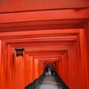 부익부주식회사 이미지