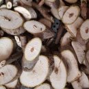 종기농장 이미지