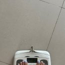 실내 인간의 주말 일상, 장마철 제습제 준비 ft. 얼굴 동영상 찔끔, 대극천 납작 복숭아🍑