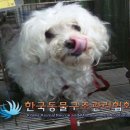 백설세탁소 이미지