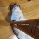 오수봉투 이미지