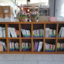 (구)상록구청 이미지