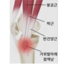 영짐(YOUNG GYM) 네이버블로그
