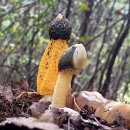 일동농장 이미지