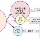 삼중음성 유방암 원인 증상 치료 유방암 삼중음성 치료제 예방법 이미지