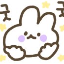 구본강다이어트 이미지